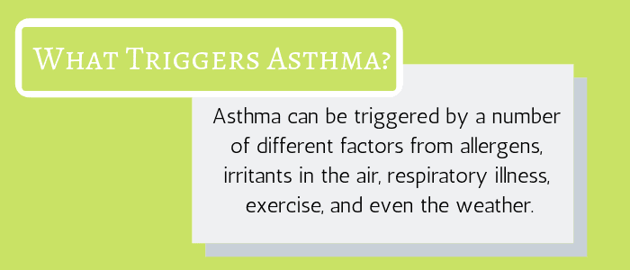 What Triggers Asthma