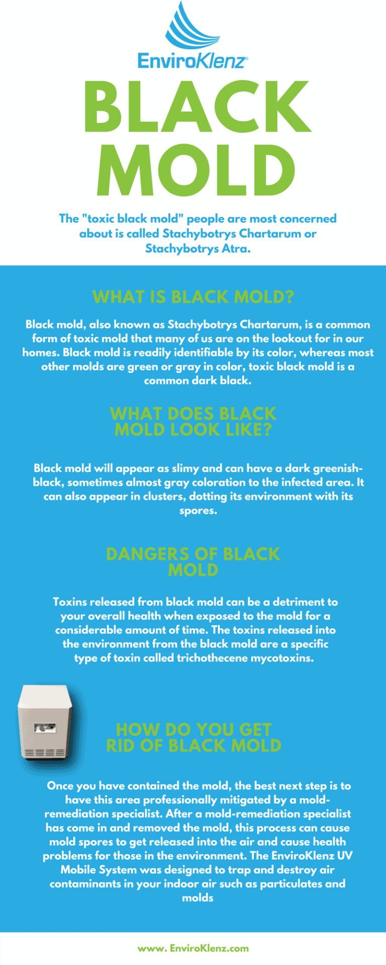 Black Mold vs Mold Is Black Mold Dangerous to Your Health? EnviroKlenz