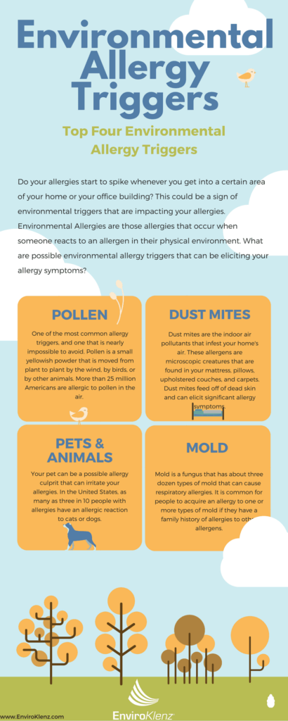 Environmental Allergies Can You Have An Allergic Reaction To Mold Enviroklenz