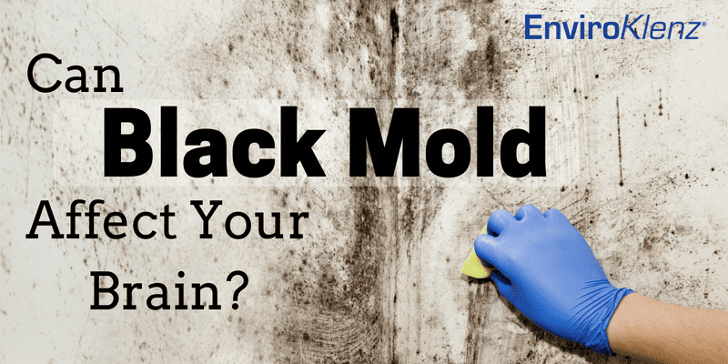 Can Black Mold Affect Your Brain Enviroklenz