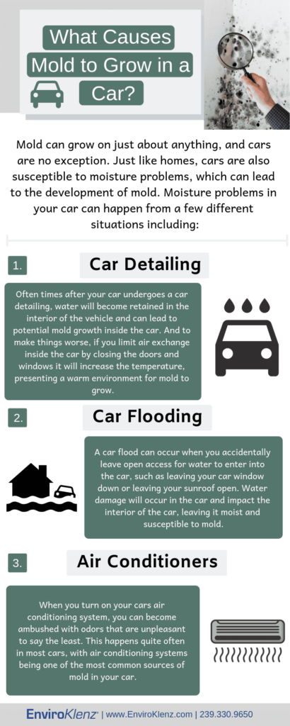 Why Is Mold In My Car Enviroklenz