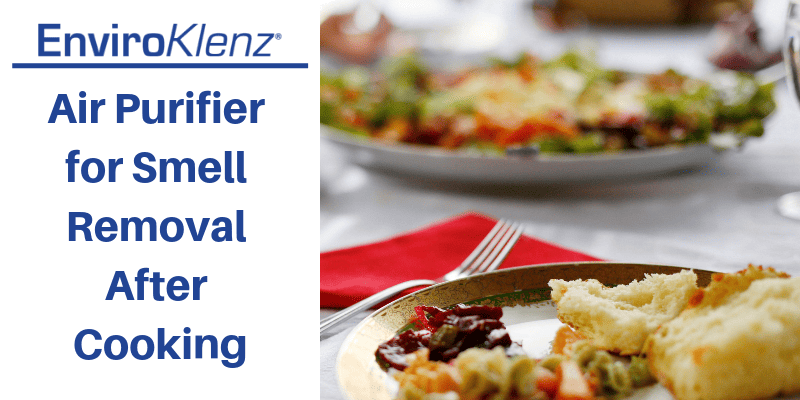 Air Purifier for Smell Removal After Cooking | Enviroklenz