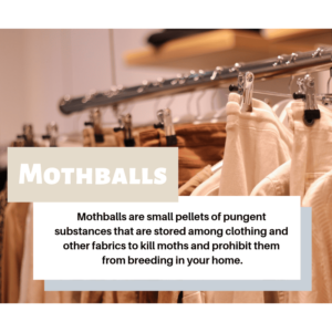 How do mothballs work