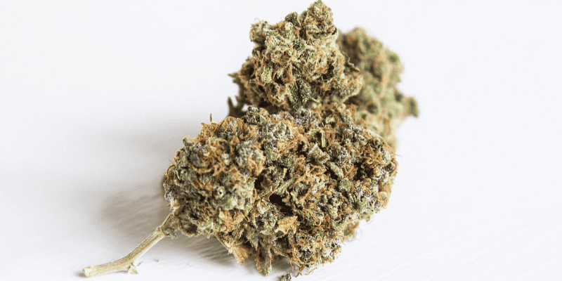 Weed Odor Guide: How to Get Rid of Weed Smell | Enviroklenz