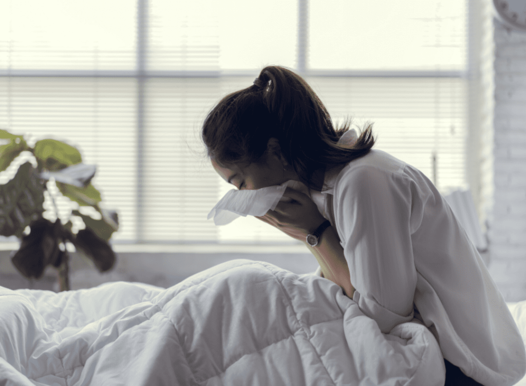 How Do You Know If You Have Dust Mites at Home