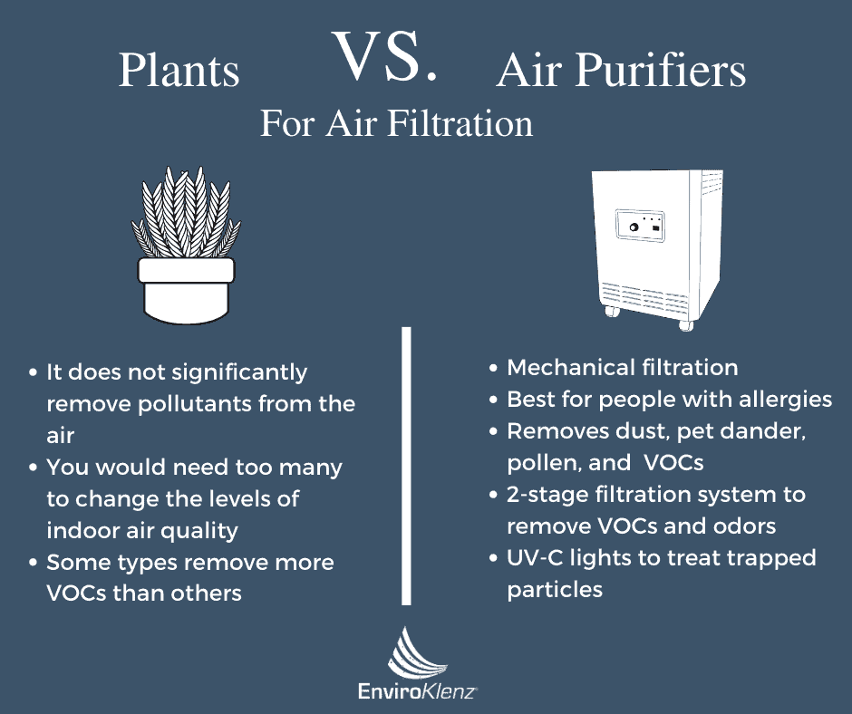 Air Purifying Plants Vs Air Purifier