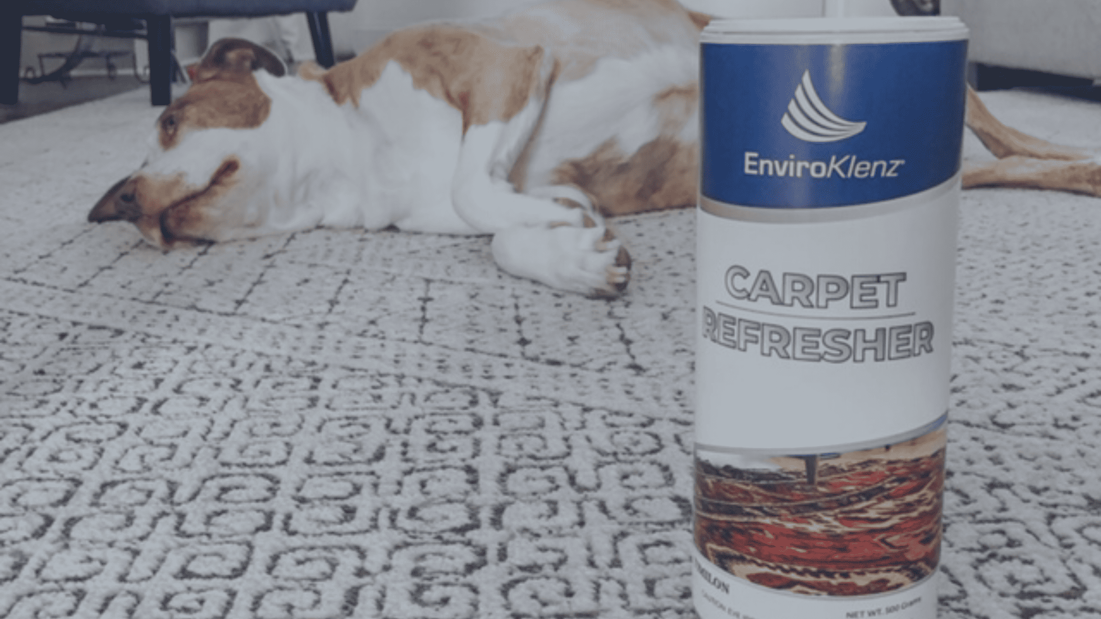 How Do You Remove Pet Urine From Carpet? EnviroKlenz