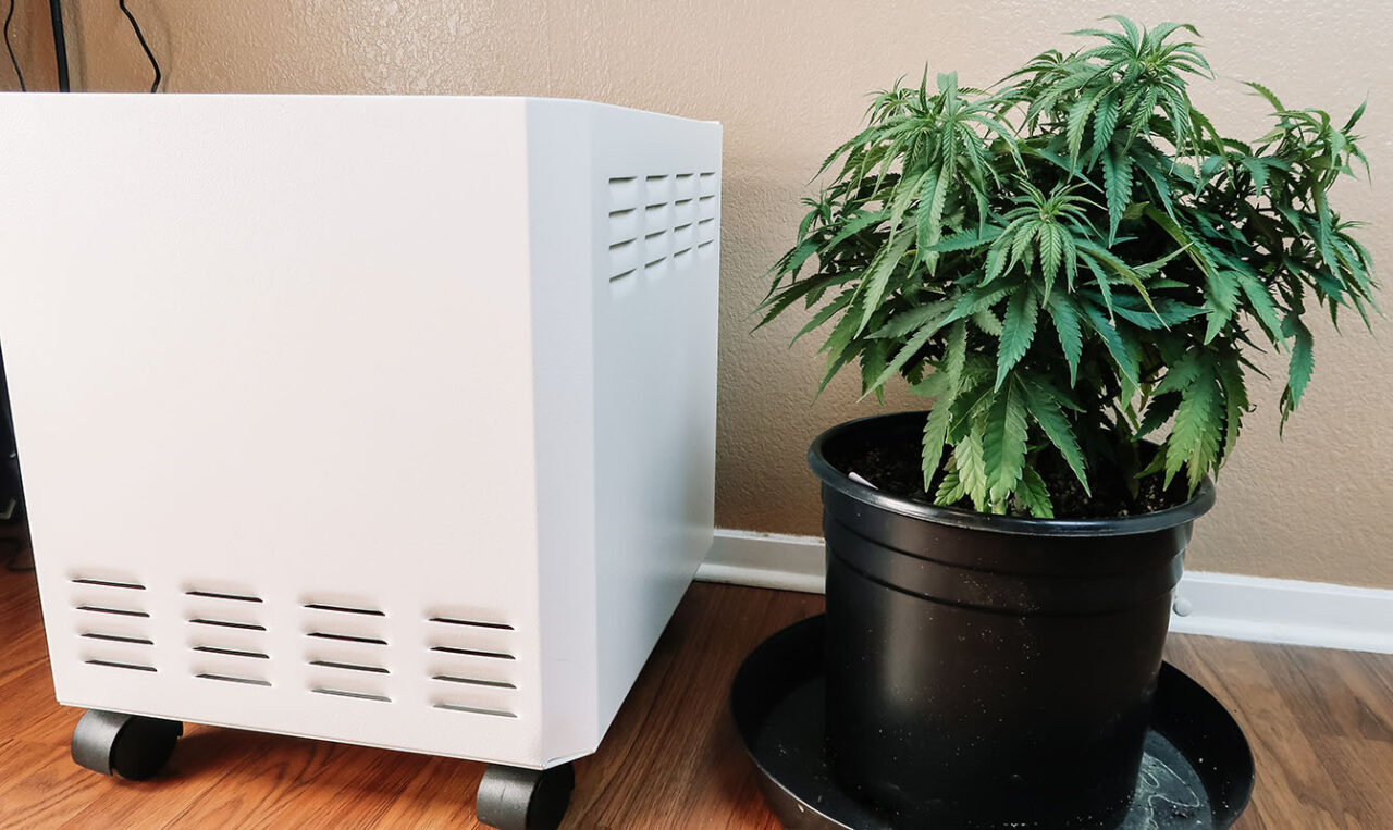 Best Air Purifier For Weed Odors | EnviroKlenz